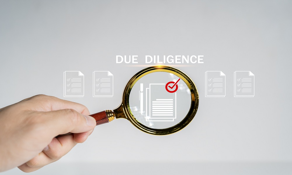 How Professional Due Diligence Services Protect Your Investment